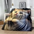 thumbnail image 1 of Couverture Ragdoll Chat Persan Calico Chat Garfield Couverture Douce pour Maison Chambre Lit Canapé Couverture Enfants, 1 of 7