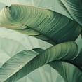 thumbnail image 6 of PIKWEEK Palm Leaves with Lush Branches and Leaves, Tropical Jungle Palm Leaves Waterproof Round Tablecloth White, 6 of 8