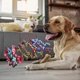 thumbnail image 2 of Dog Chew Toys for Grinding Teeth Puppy Teething Rope Toy Dental Cleaning Prevents Boredom Relieves Stress Random Colors, 2 of 4
