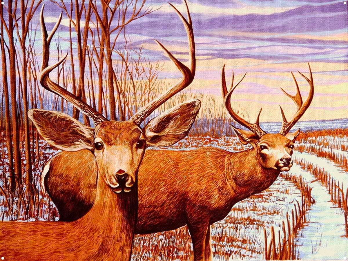 mule deer metal art