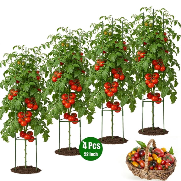 Tomato Cage, Qissep 4 Pack 52 inch Tall Tomato Trellis Triangle Tomato Cages for Garden Climbing Plants, Vegetables, Flowers, Fruits, Flexible Height Adjustment