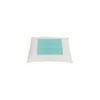Living Health Products CPI-01-001 Freeze-Able Gel Cool Pillow Insert - Small Mat 8 x 12'' (for Pillows)