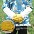 thumbnail image 4 of Guantes de apicultura, guantes de protección de piel de cabra manga larga duradero perfecto para el principiante apicultor amarillo, 4 of 7