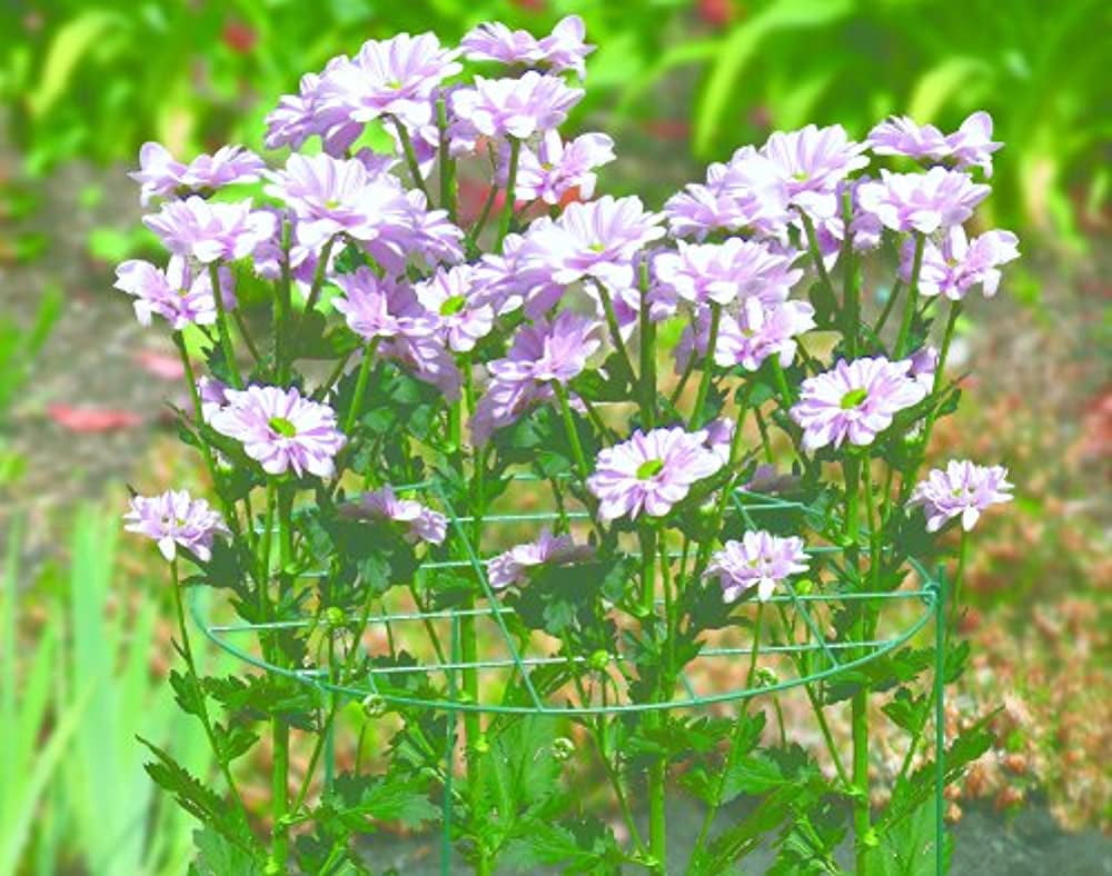 Bosmere 18" Plant Grid with Three 36" Legs, 2-Pack