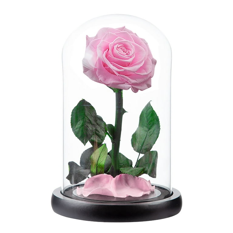 Dainzusyful Gifts For Mom Forever Rose Roses Gift For Her Birthday Gifts  For Women Colorful Artificial Flower Rose Gift Light Up Rose In A Glass  Dome