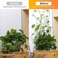 thumbnail image 4 of Clips de soporte para plantas trepadoras, 50 Uds., soporte de gancho autoadhesivo para montaje en pared para plantas trepadoras, decoración del hogar (blanco), 4 of 5