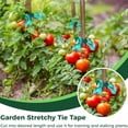 thumbnail image 2 of Stretchy Tie Tape for Training & Supporting Plants, 147.6 Feet, 2 of 9