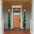 thumbnail image 2 of Northlight Real Touch™ Pre-Lit Artificial Cedar Spiral Topiary Tree, Clear Lights - 5.5', 2 of 9