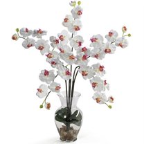 Nearly Natural Phalaenopsis Liquid Illusion Silk Flower Arrangement, White