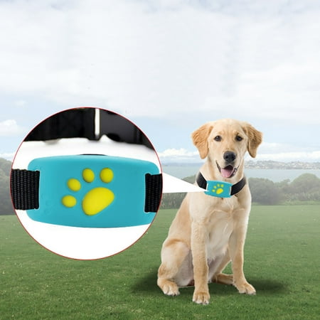 Reactionnx Pet GPS Tracker Device Collar and Activity Network Monitor for Cats Dogs, Waterproof Design, Anti Lost Finder Global Monitor Tracker, Free APP and Web Platform (SIM Card Not (Best Monitor For Web Design)