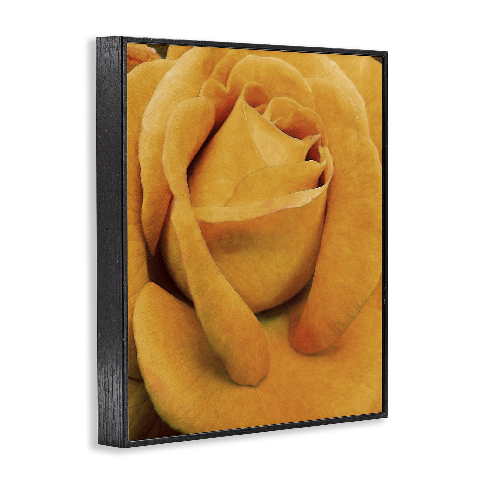 Stupell Industries Yellow Rose Close Up Botanical & Floral Painting Black Framed Art Print Wall Art, 24 x 30