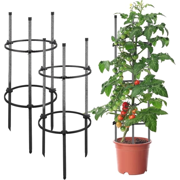 IHOMEPARK Tomato Cage for Outdoor Climbing Plants 31in, Steel Garden Trellis Plant Support Stakes for Garden Flowers Fruits, 2Pcs