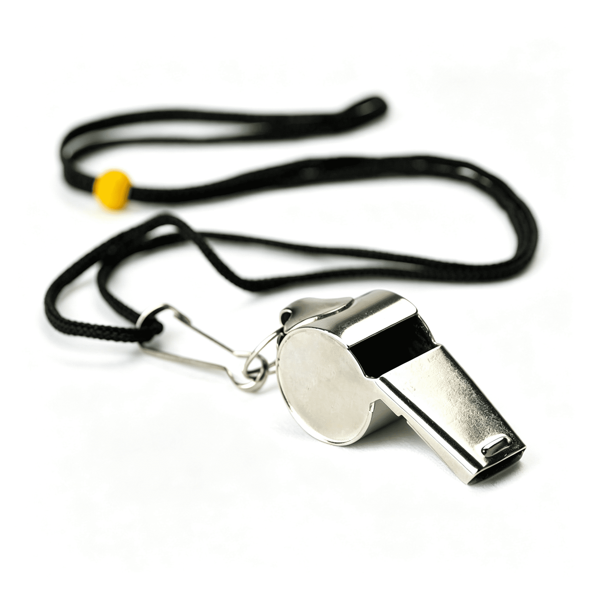 BESTSKY Stainless Steel Whistle with Lanyard – Great for Coaches, Referees, and Officials, Durable Whistle for Coaches