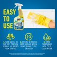 thumbnail image 4 of Limpiador de baño espumoso CLR Brilliant Bath 770 ml (paquete de 4), 4 of 5