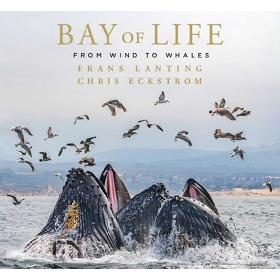 Pre-Owned Bay of Life: From Wind to Whales (Hardcover) 1647221439 9781647221430