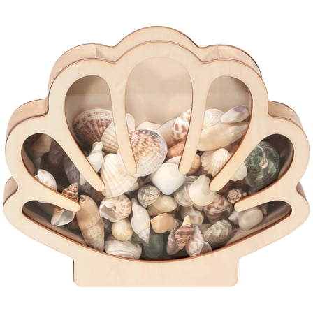 Seashell Display Box, Wooden Sea Shell Storage Box with Acrylic Panel, Unique Clam Shell Holder, Ideal for Home and Office Decor, Efficient Storage Solution