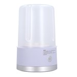 Portable Washing Machine, Multifunction Compact Mini Washer for Apartments, Portable Small Washer Energy Saving Rechargeable Cup Semi Automatic for Business Trips Travel Camping