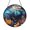 Acrylic 3.5 Inch, variant on Marine Yellow Tang Fish Suncatcher Round Hanging Panel Present Art