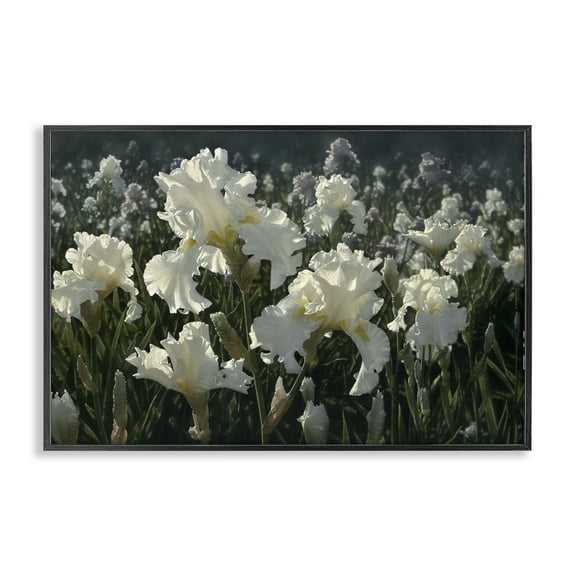 Stupell Industries White Iris Garden Black Framed Giclee Art design by Collin Bogle, 12 x 18