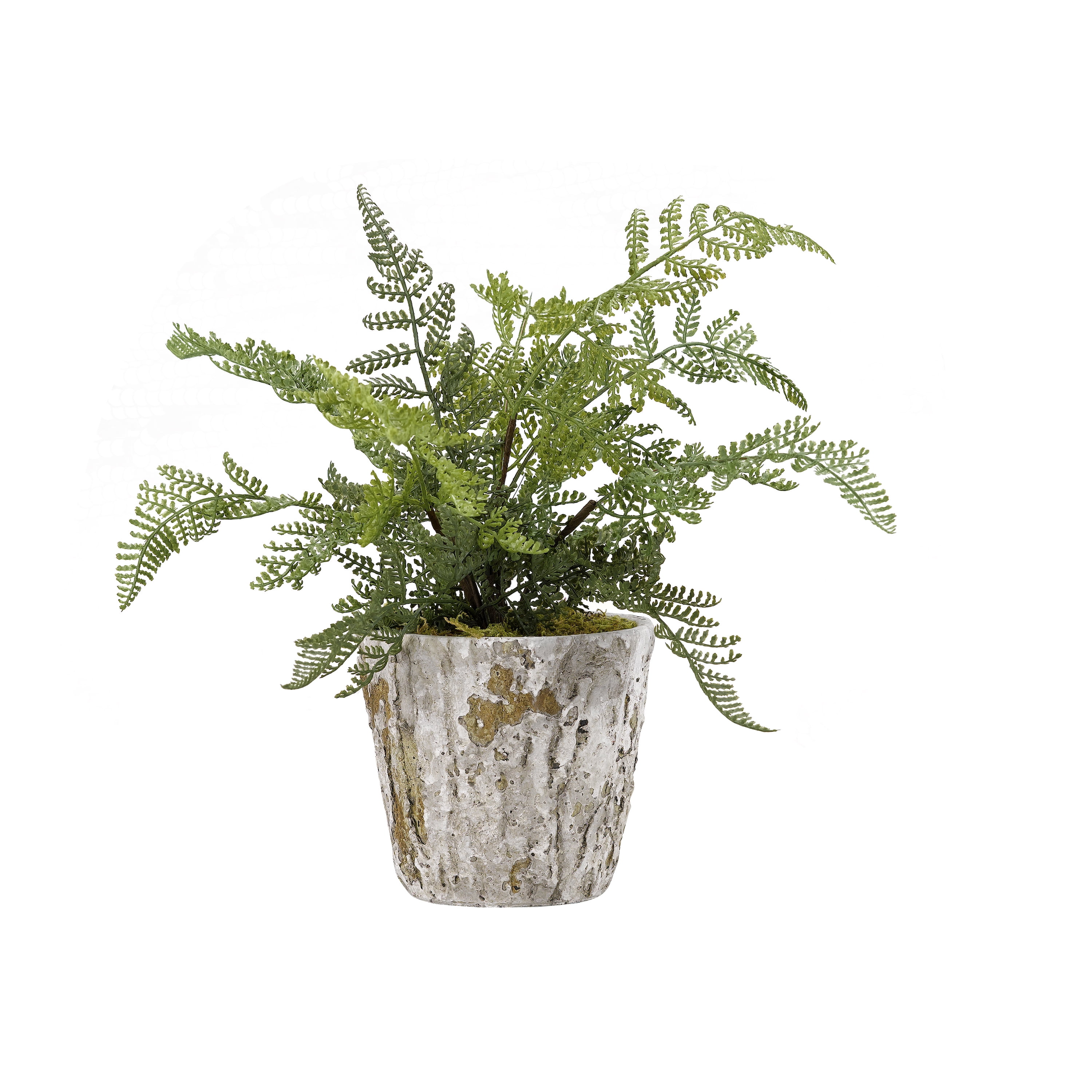 D&W Silks Lace Fern Plant in Rustic Terra Cotta Pot