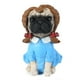 thumbnail image 1 of Pugs Hucha Hucha Hucha Ahorro De Dinero Para Decoración De Mesa Vogacara HA041970-07, 1 of 6