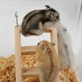 thumbnail image 5 of Walbest 165mm Length 115mm Height Wooden Ladder Hamster Ladder Wood Cage Hanging Ladder for Mouse, Chinchilla, Rat, Gerbil and Dwarf Hamster, 5 of 7