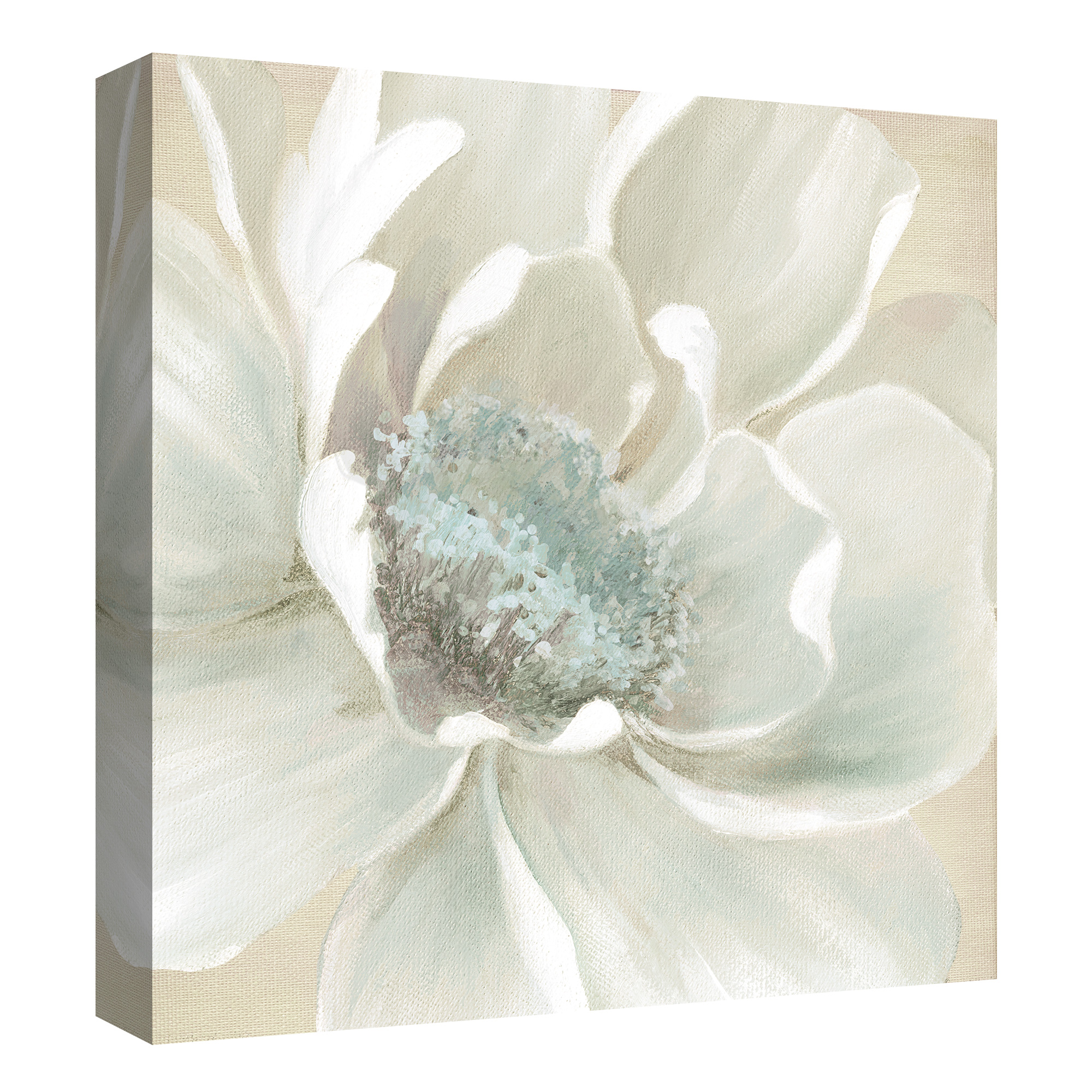 Winter Blooms I & II by Carol Robinson Wrapped Canvas Art Painting Print Set of 2