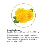 Botanic Choice Dandelion Root Liquid Extract , 1 oz