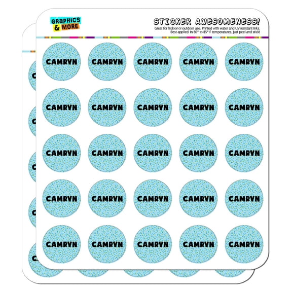 Camryn - Name 1" Planner Calendar Scrapbooking Crafting Stickers - Blue Speckles