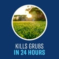 thumbnail image 4 of BioAdvanced 24 Hour Grub Killer Plus, Granules, 20 lb, 10,000 Sq Ft, 4 of 6