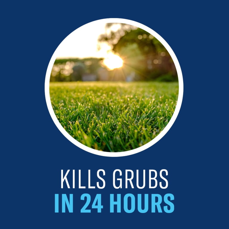 BioAdvanced 24 Hour Grub Killer Plus Granules, 20 Lb photo 4