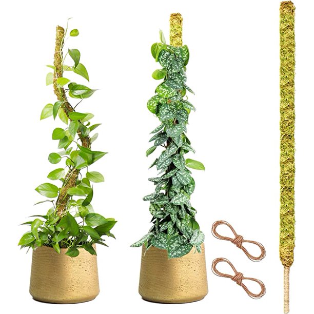 Moss Pole,1 Pcs 45" 100 Natural Sphagnum Moss Poles for Plants