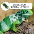 thumbnail image 3 of QUMIIRITY Para Terrarios Con Falsas De En Color Para Reptiles, 3 of 7