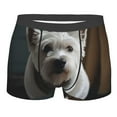 thumbnail image 4 of Goofa Dog Wrapped in Towel 1 Printed Men's Boxer Briefs Underwear, Moisture-Wicking Underwear, Trunk,Soft and Breathable Cotton Underwear-XX-Large, 4 of 9