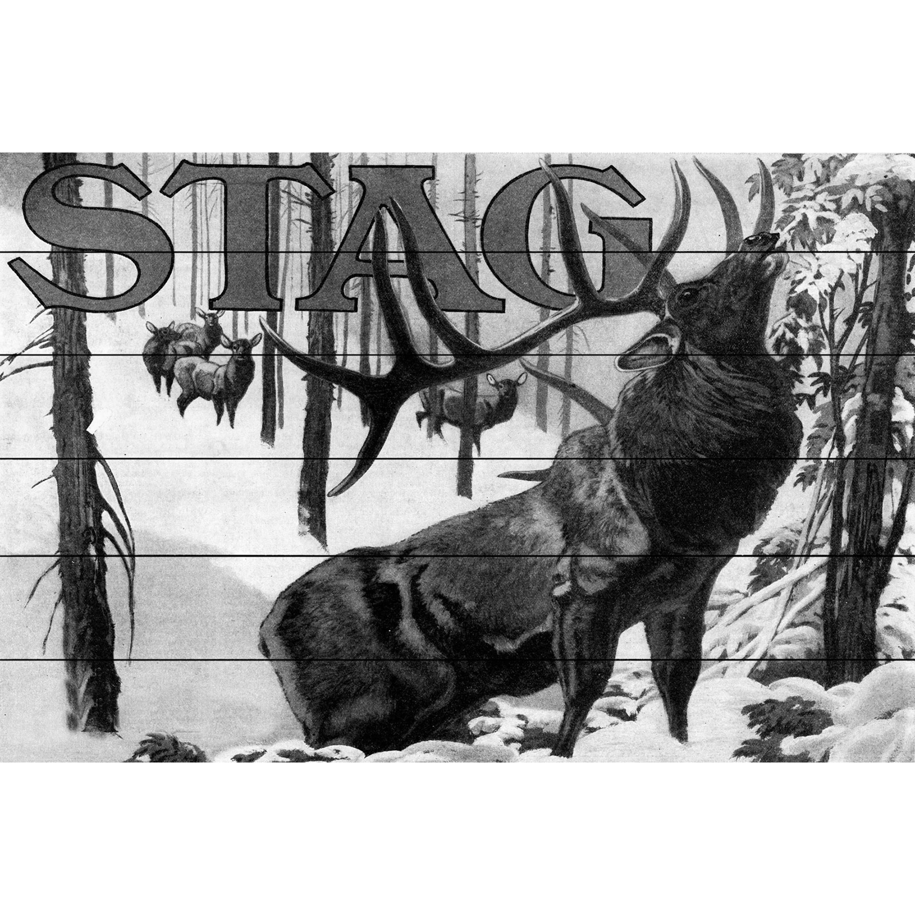 Marmont Hill "Stag" Painting Print on White Wood