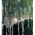 thumbnail image 2 of Golovin, Aleksandr Jakovlevic 20x22 Black Ornate Wood Framed with Double Matting Museum Art Print Titled - Birch Trees, 2 of 4