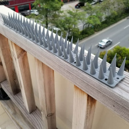 

Tiitstoy Bird Spikes Bird Deterrent Spikes for Small Birds Pigeon-Squirrel Raccoon Crow Cats Bird Defender-Spikes for Outside To Keep Birds Away Plastic Fence Spikes