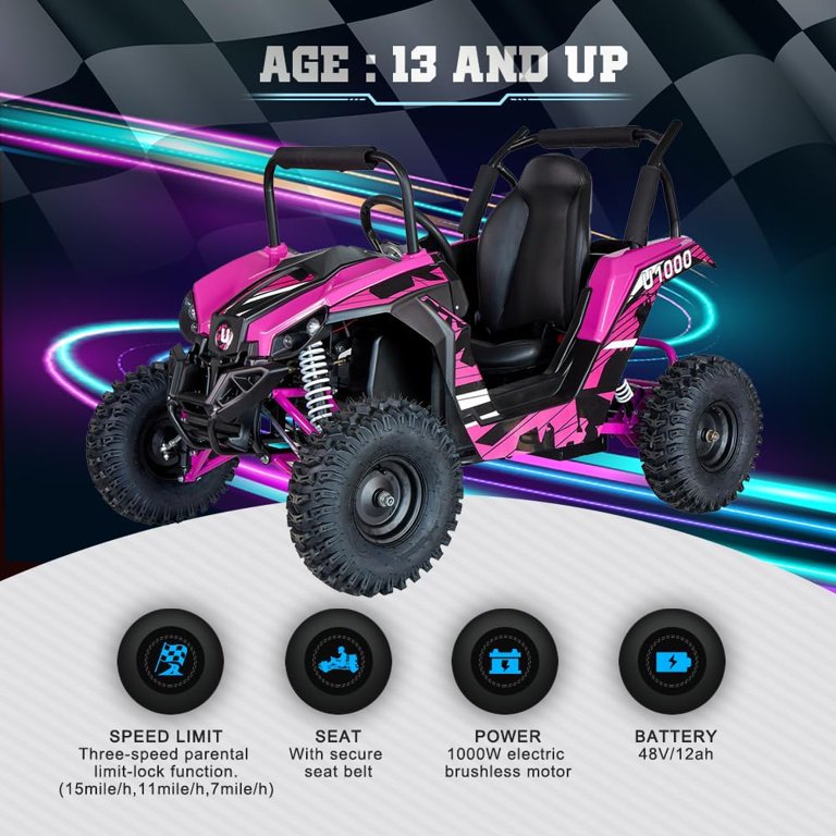 Mini UTV Ride on Car, 48V Shock Absorber Electric Vehicles with