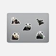 thumbnail image 4 of 50 pegatinas de panda adorables, pegatinas láser impermeables, pegatinas para coche, pegatinas para portátil, pegatinas para motocicleta, bicicleta, equipaje, parches de grafiti para camisetas., 4 of 5
