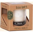 thumbnail image 1 of Aloha Bay Candle-Jar-Feng Shui-Metal-Success 2.5 oz Candle, 1 of 1