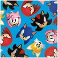 thumbnail image 3 of Sonic Birthday Party Supplies Bundle includes 16 Lunch Paper Plates 9", 16 Lunch Paper Napkins, 1 Dinosaur Sticker Sheet, 3 of 4