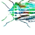 thumbnail image 2 of Villa, Mlli 15x15 White Modern Wood Framed Museum Art Print Titled - Water Bugs Three, 2 of 4