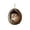 Christmas Ornaments 84, variant on Christmas Ornaments 2025, Forests Animal Acorn Ornaments, Forests Christmas Ornaments, New Pine Cone Animal Decoration, 2D Acrylic Animal Christmas Tree Pendant for Home Decor