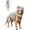 Gray, variant on Dinosaur Costume For Dogs, Soft Plush T-Rex Skeleton Halloween Dinosaur Pillow Costume for Dogs