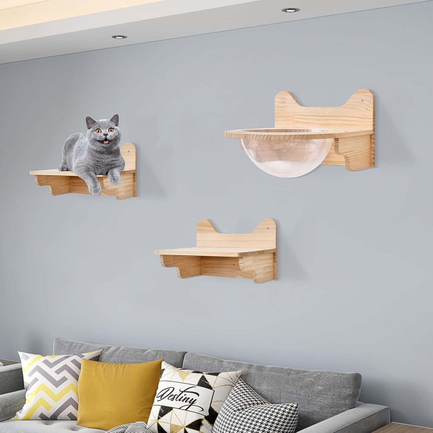 Wall-Mounted Wooden Cat Space Clear Capsule Cat Bed, Cat Shelf Wall Mounted Floating Cat Shelf for Cat Perching Sleeping Lounging, Transparent Cat House Cat Toy Cat Furniture