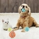 thumbnail image 5 of 3 uds juguetes para gatos pelota de sisal palo para gato, masticable, pelota para mascotas, juguete ecológico para masticar gatos, pelota interactiva y de entrenamiento para gatos, color aleatorio JM, 5 of 5