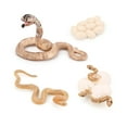 thumbnail image 4 of Simulation Insect Plastic Animal Early Growth Preschool Educational Props Model Miniature Educational Props Cognition Toy for Children Type 12, 4 of 9