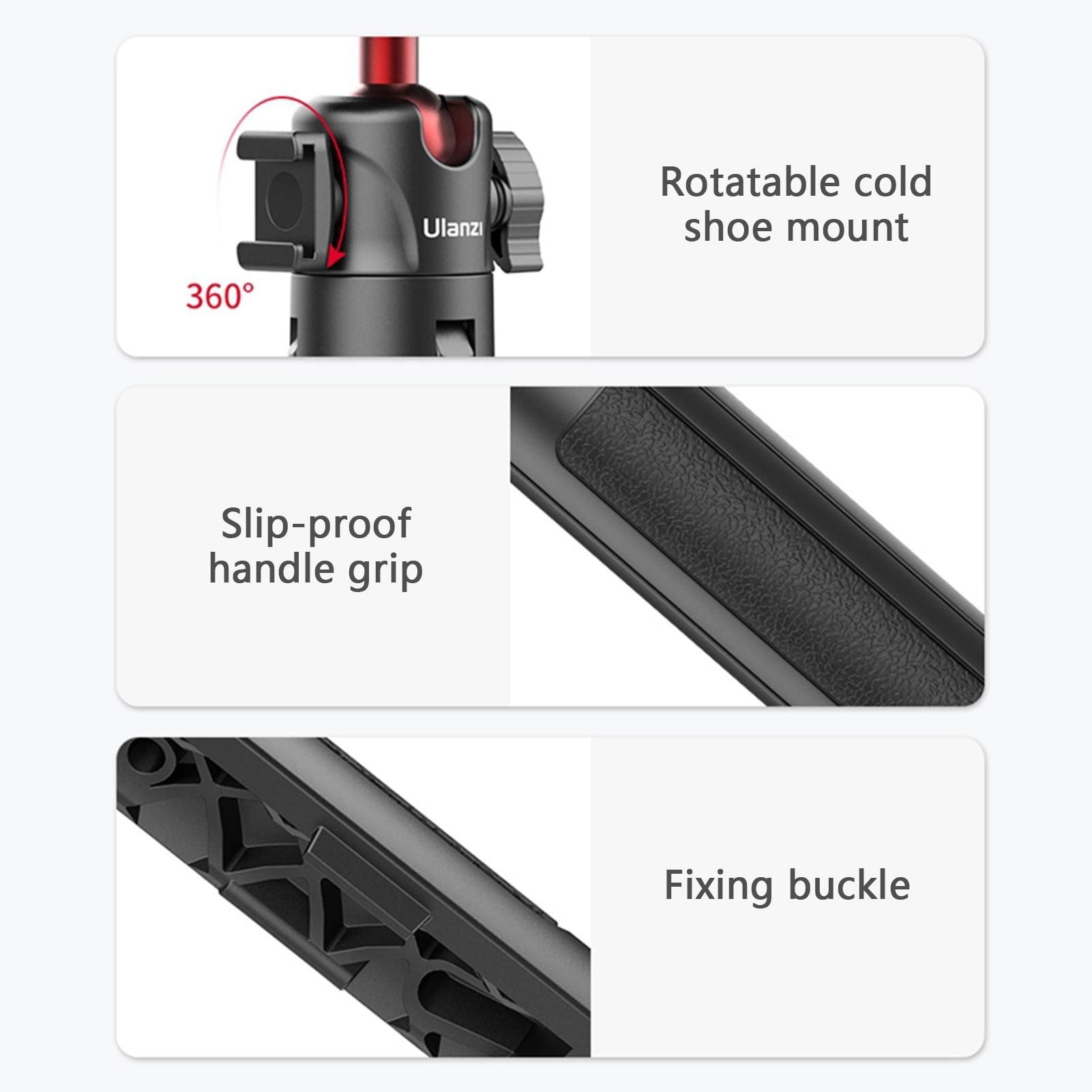 E-HO-LAND HOLAND MONGO HOPIA
