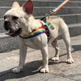 thumbnail image 3 of Recogedor De Aseo Para Perros Verde Jormftte 220703-2, 3 of 7