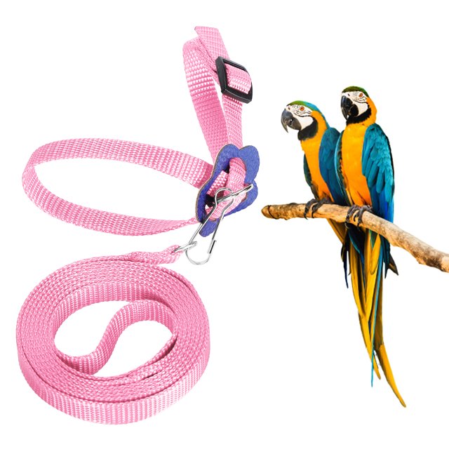 Bird Harness, Harness Strong Enough Tow Rope Nylon Silk and Satin Textures for Birds for Rose